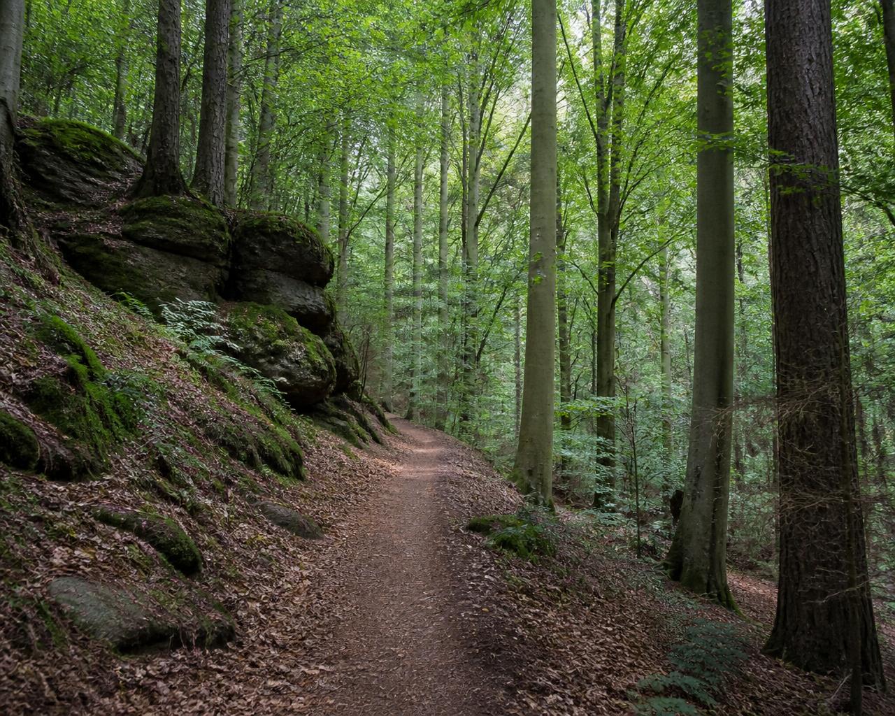 Hiking & Cycling
