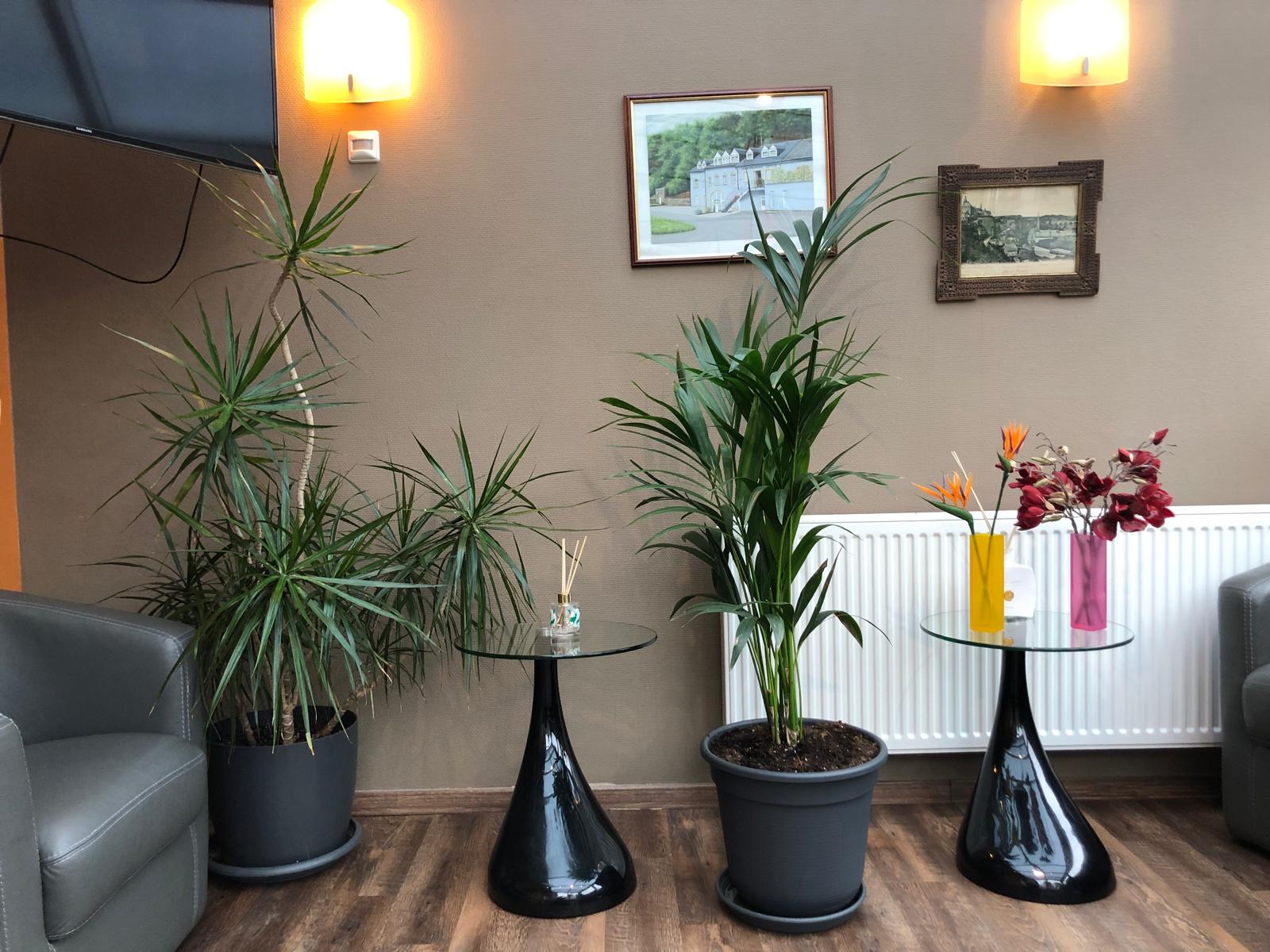 Lounge corner with greenery and wall art